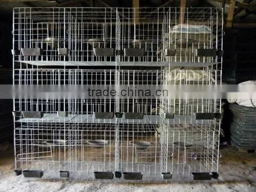 Welded Pigeon Cages