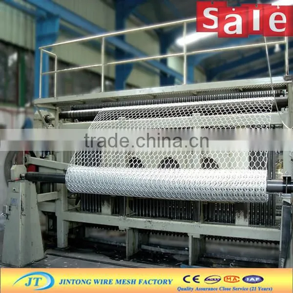 anping hexagonal mesh