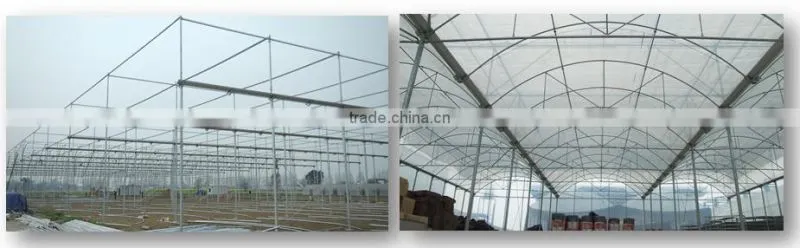 geodesic dome greenhouse