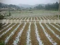 PE plastic covering film for greenhouse/mulch/construction