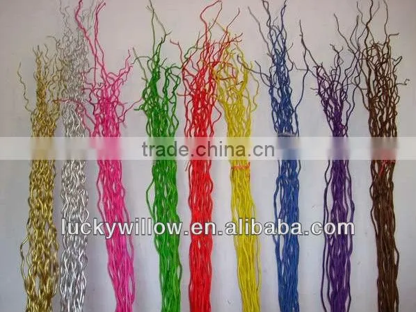 Prafessional factory supply Chinese dragon willow ,longliu,dragon sang for home & office decoration