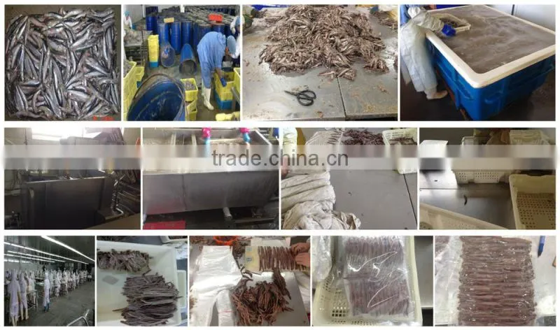 Good Quality Frozen Whole anchovy