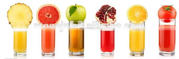 Multi-purpose Fruit And Vegetable Juicer / Industrial Pineapple Juice Extractor Machine | Pineapple Juice Extractor Machine