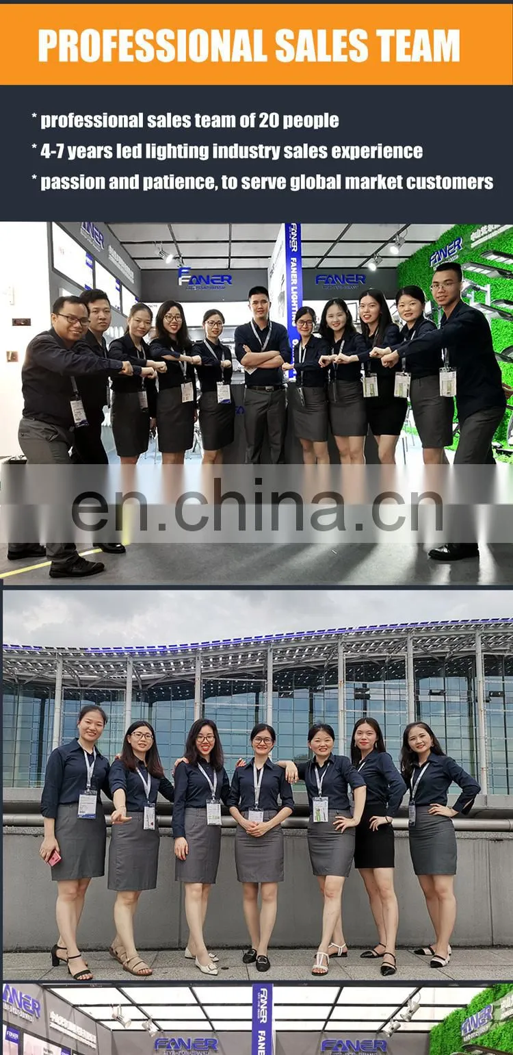 CE Rohs CB China factory FANER solar street light lamp solar street light 100w led