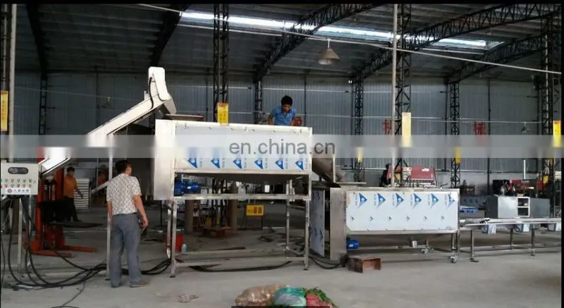 Industrial Home Potato Chips Making Machine Price