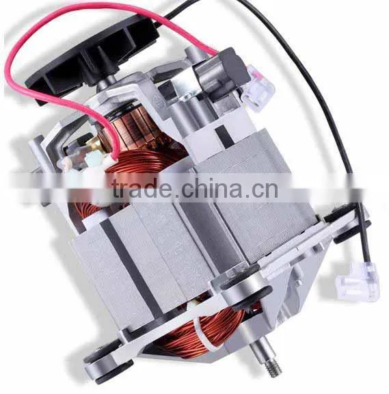 Fruit Juicer Blender
