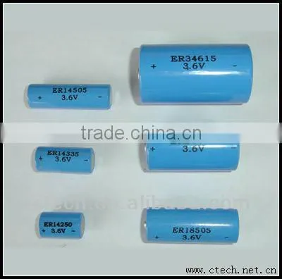 ER9V Lithium Battery