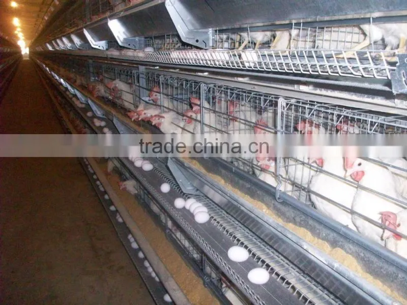 Birdsitter ISO9001 qualified Aluminum-Zinc Alloy poultry farm chicken cage