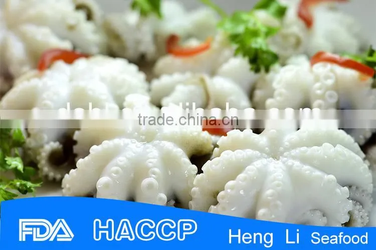 Good quality frozen octopus for sale