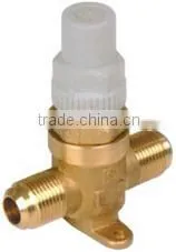 BLR Series Capped Valve