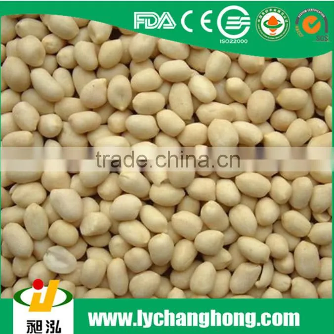 Good peanut kernel 24/28 blanched peanuts 25/29 //peanuts 40/50