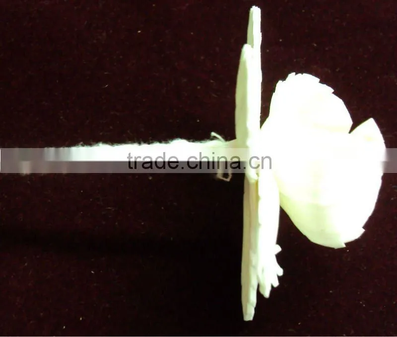 Sola wood flower