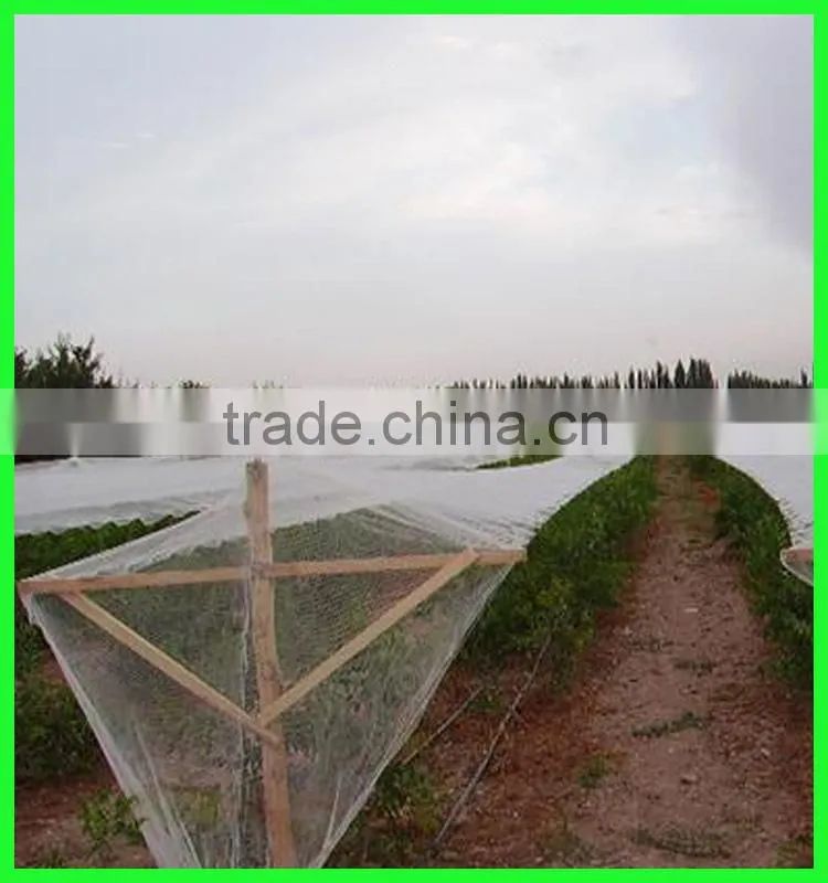 supply Eco-friendly plastic anti bird net&pond cover mesh