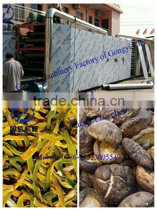 Professional Produce Fruit Drying Equipment / Fruit Mesh Belt Dryer Machine