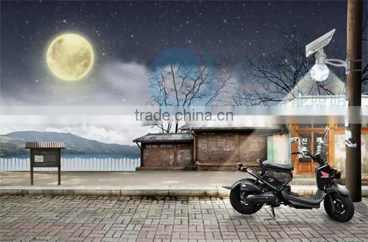4W 8W 12W all in one LED solar garden light, solar courtyard light, solar villa light