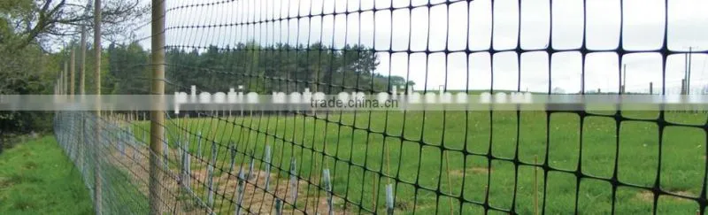 HDPE/POLY anti-bird net for protecting fruit tree and plant