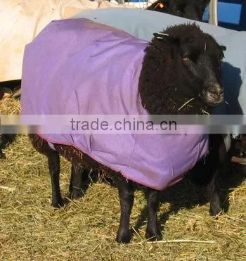 Breathable Sheep Coat