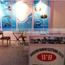 Shenzhen Wanghui Electronic Co., Ltd. company overview - view 1