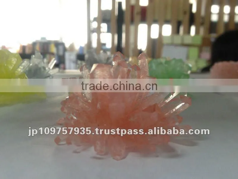 School science kit toy of Innovative technology MAGIC CRYSTAL
