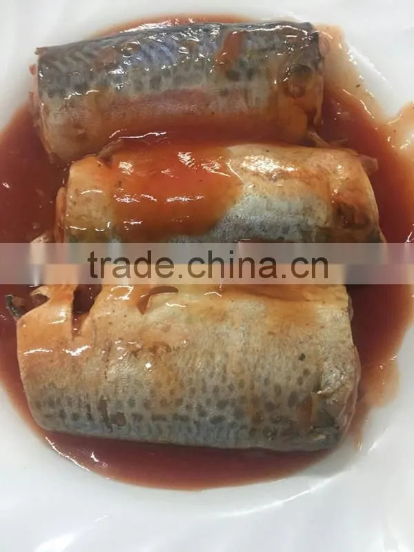 425g Canned mackerel/Jack Mackerel in tomato sauce