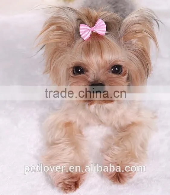 cheap stripe pet accessories dogs and cats