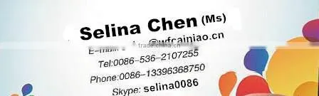 many types and models diesel engine spare parts fuel injector