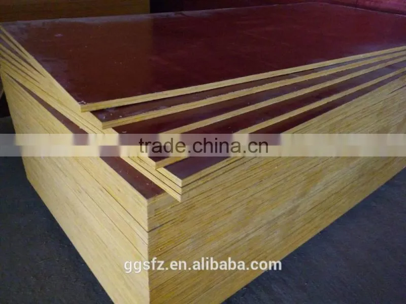 Fencing Eucalyptus Wood Price Plywood for Export