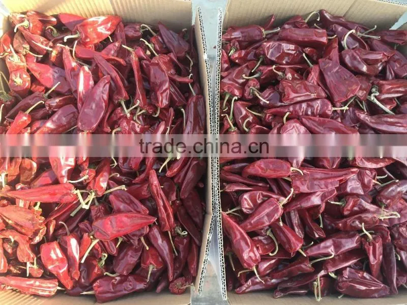 dried chilli