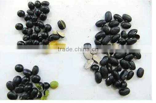 16.5% moisture round and made in China for Black Bean With Green Kernel