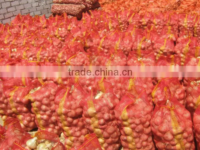 onion ( Red - Yellow - White - spring onion )