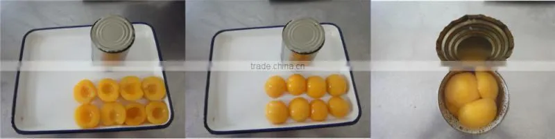 820G Canned Peaches Half in Tins