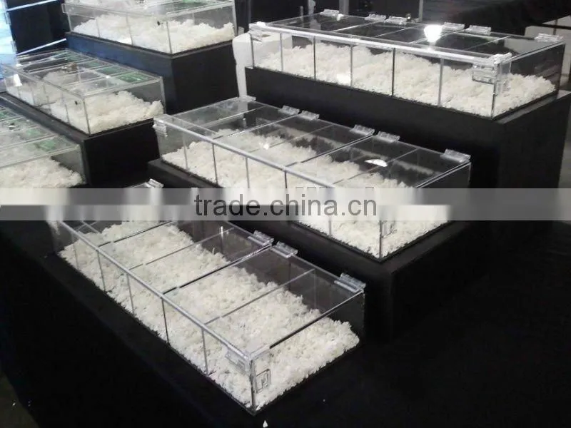 acrylic reptile display cases