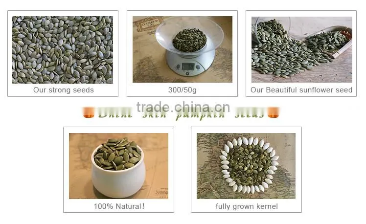 Best quality lady nail shine skin pumpkin seeds for sale