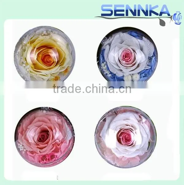 Handmade Pink Preserved Rose Hanging Thread Keychain Natural Preserved Flower