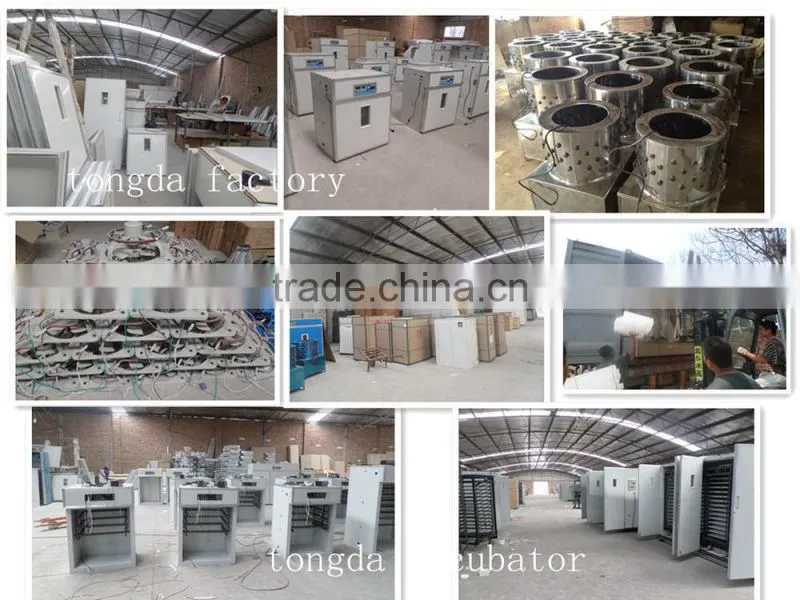 Poultry box/live chicken box/transpotation chicken cages