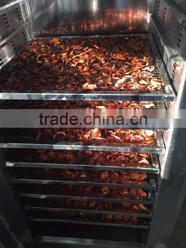 Hot sale galss window door beef, meat and vegetable, fruit drying oven, electric drying oven