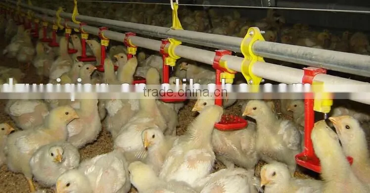 360 degree water nipple drinker for chicken