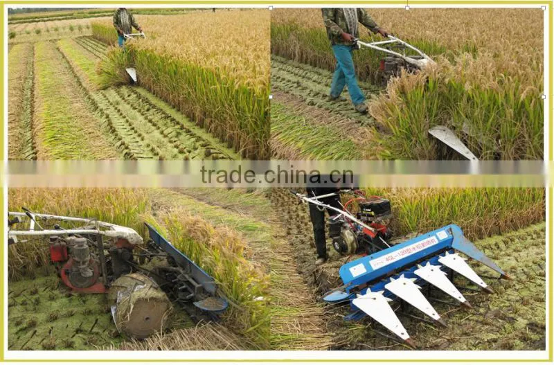 Fodder Grass Mini Power Reaper