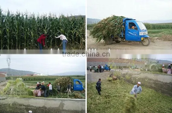 High efficiency and hot sale electric hay cutter Zc-3