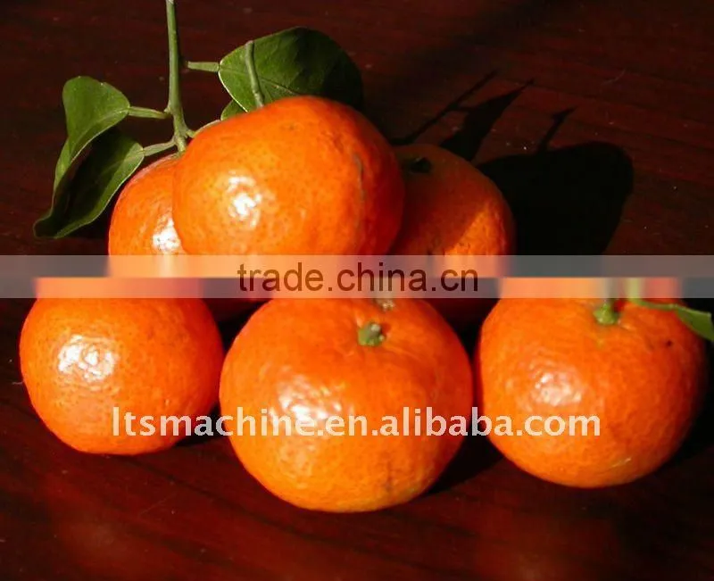 Mandarin orange grading machine