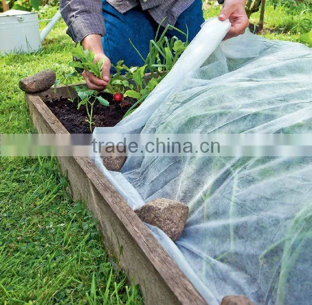 PE agricultural plastic Greenhouses film kit tunnel for vegetable used in garden