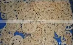 Commercial multifunctional high efficiency vegetable dicer
