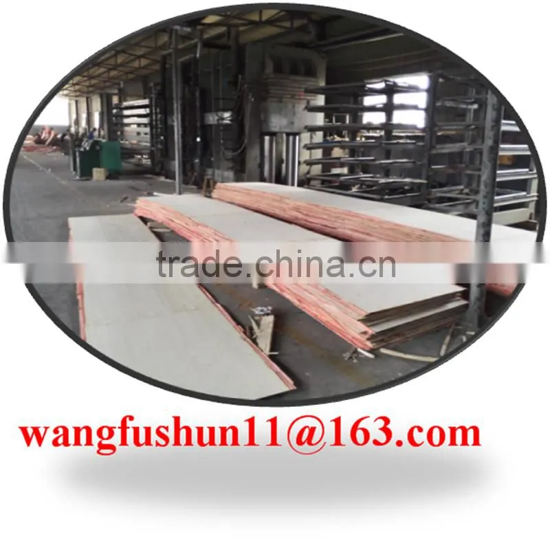 poplar lvl for packing/E1 E2/high quality poplar lvl and poplar lvb for Malaysia