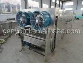 Raisin Cleaning Machine for the Raisin Processing