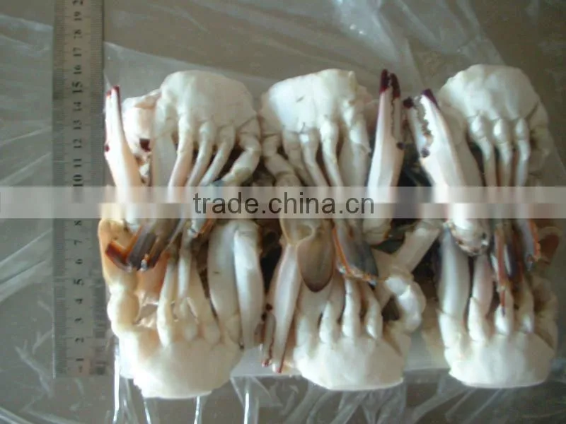 frozen sea crab