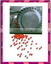Plastic Recycling Plant
