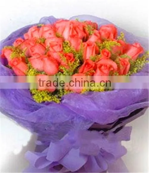2014 Hot Sale And Affordable Normal Organza Fabric For Wedding