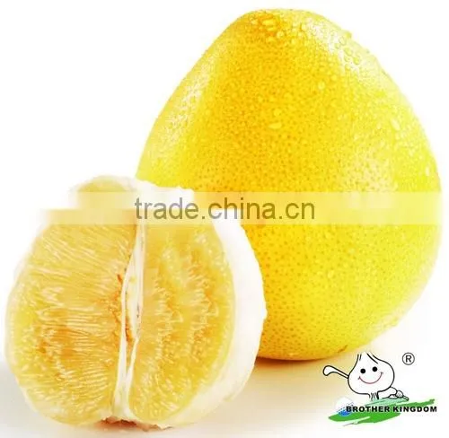 Chinese pomelo factory
