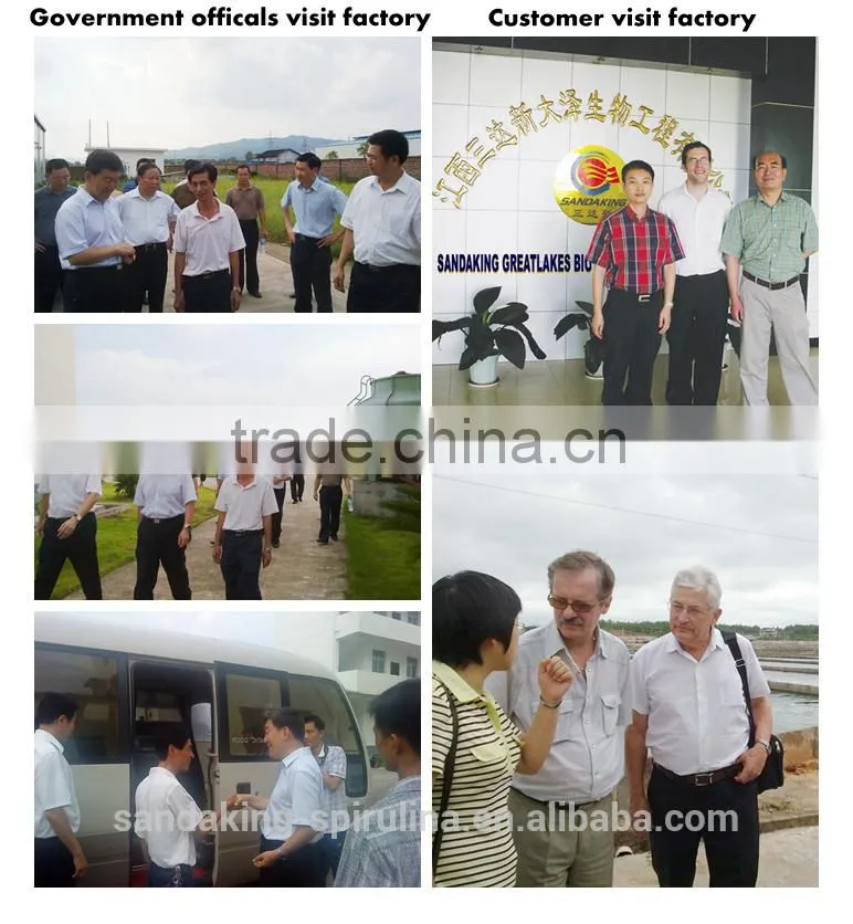 Gmp Certified Manufacturer Supply High Quality Spirulina Powder