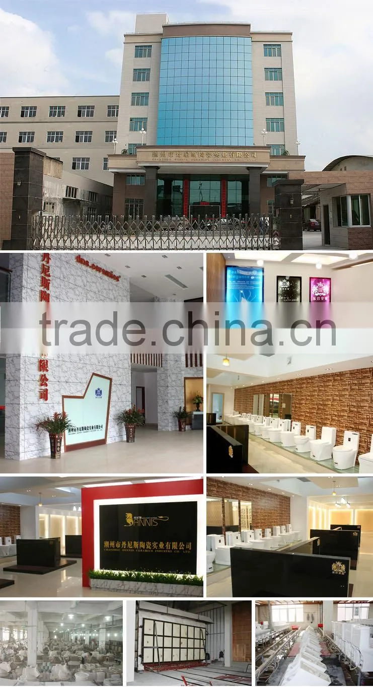 Chaozhou Dennis Ceramics Industrial Co., Ltd. company overview - view 1